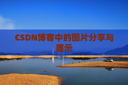 CSDN博客中的图片分享与展示